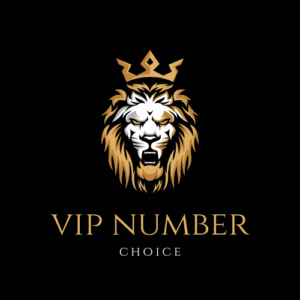 Get Your VIP Number Today – Power, Prestige, and Personal Branding in One